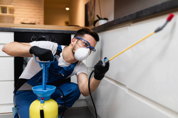 Best Wasp Removal Services  in Wellington, FL