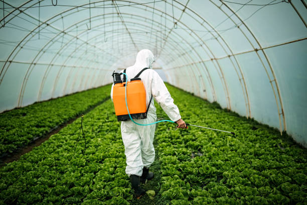 Best Pest Prevention Services  in Wellington, FL