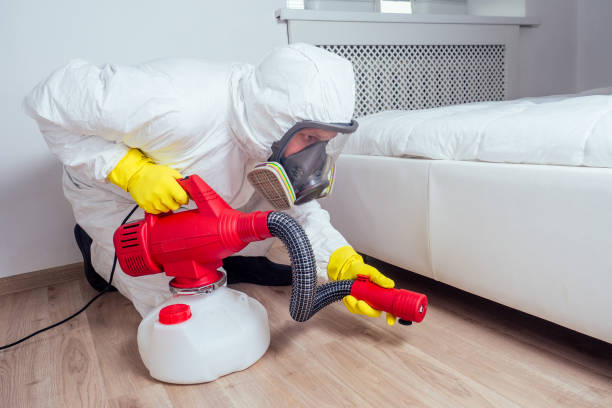 Pest Prevention Services in Wellington, FL