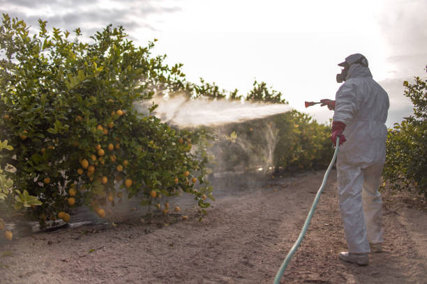 Best Wasp Removal Services  in Wellington, FL