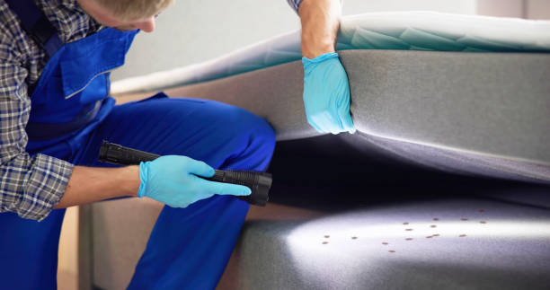 Best Pest Control for Homes  in Wellington, FL