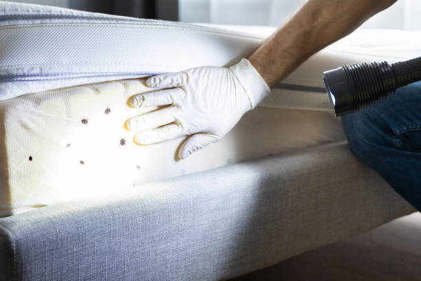 Best Insect Control  in Wellington, FL