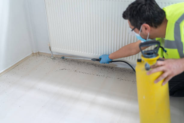 Best Pest Prevention Services  in Wellington, FL