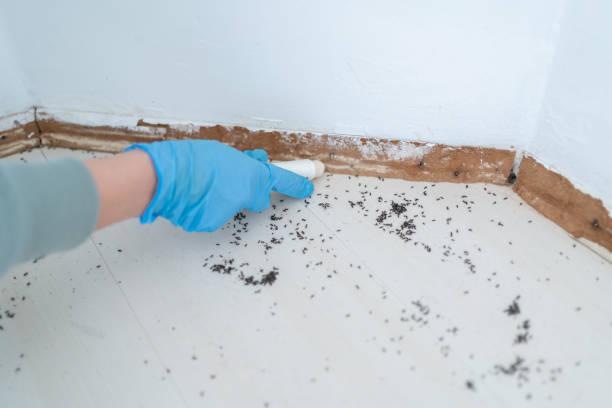 Wellington, FL Pest Control Company